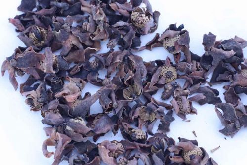 Albizzia (He Huan Hua) 1 lb